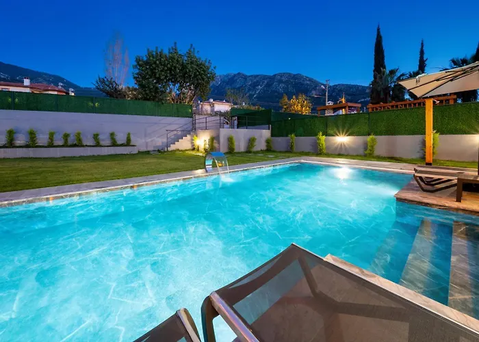 Turk فيلة فتحية