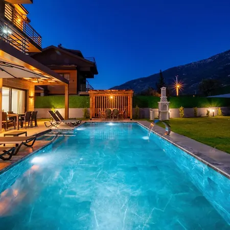 Turk 别墅 费特希耶