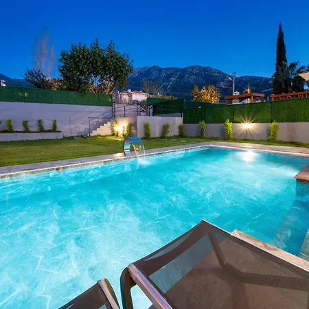 Turk 别墅 费特希耶